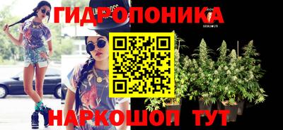 индика Тверь