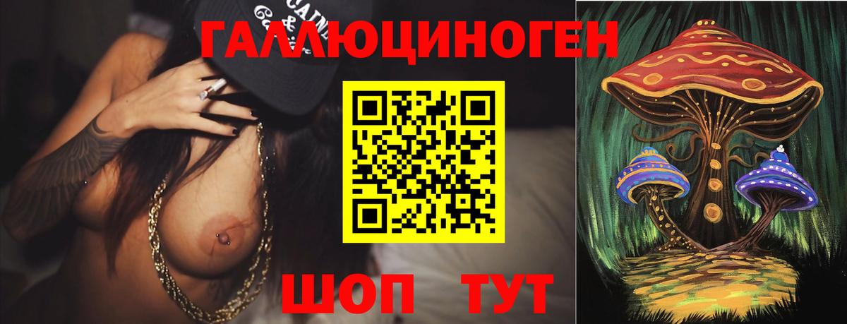 Мурманск  Галлюциногенные грибы прущие грибы  Вход с VPN 